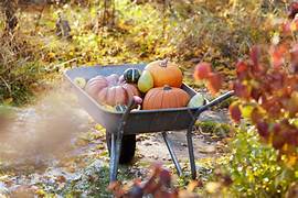 MENU VACANCES DE LA TOUSSAINT